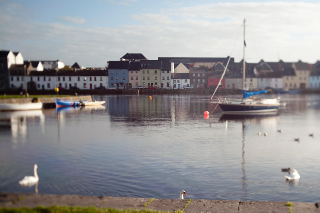 The Herons Rest Boutique Accommodation Galway Rum bild