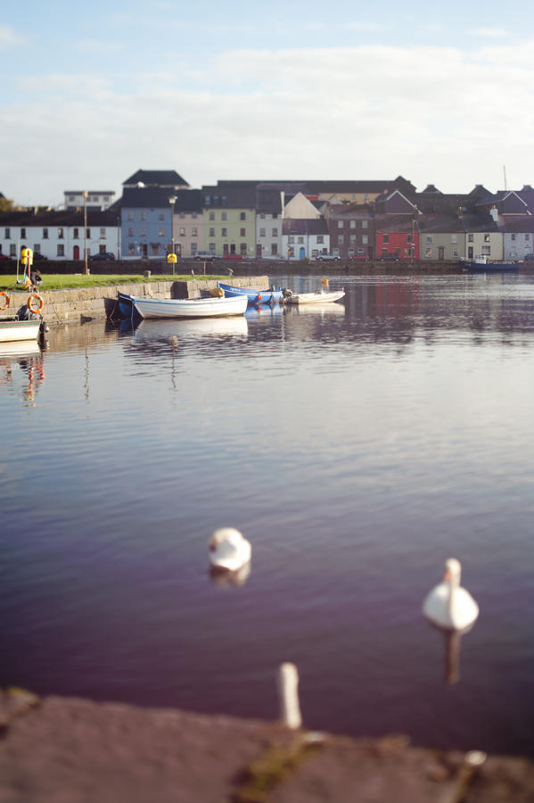 The Herons Rest Boutique Accommodation Galway Rum bild